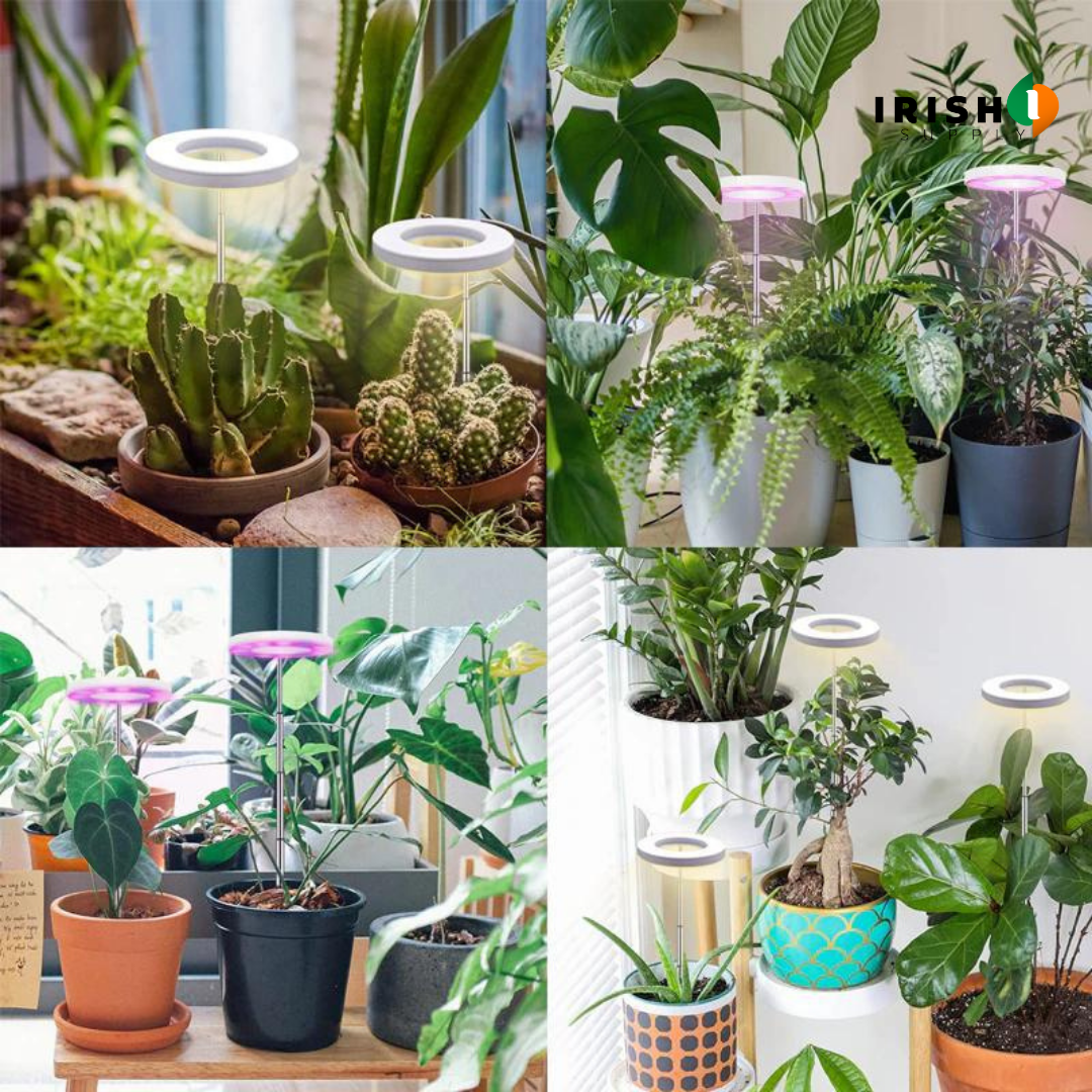 GROWHALO Ring Grow Lights for Indoor Plants