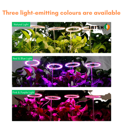 GROWHALO Ring Grow Lights for Indoor Plants