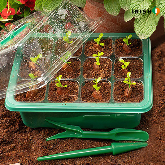 SPROUTEASE Seed Starter Kit with Humidity Dome